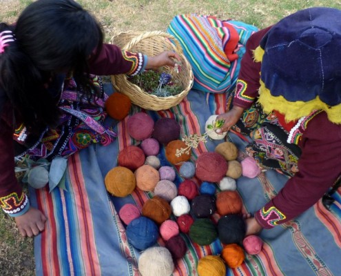 Dyed wool is gathered prior to creating a rug or textile.