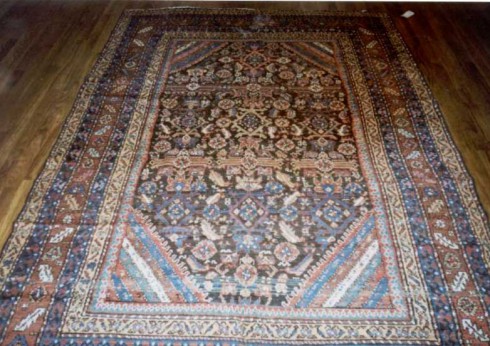 Northwest Rug