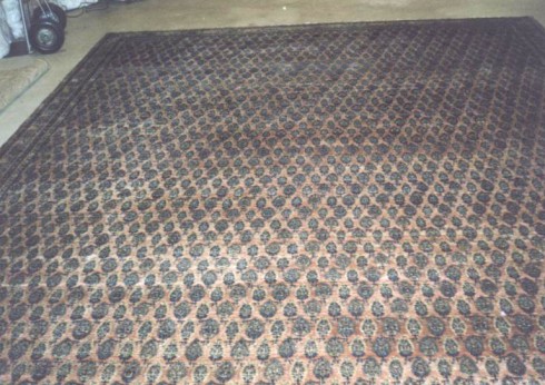 tabriz-10.03×12.10-1491 Tabriz Rug