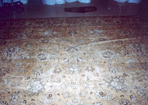 Tabriz Rug