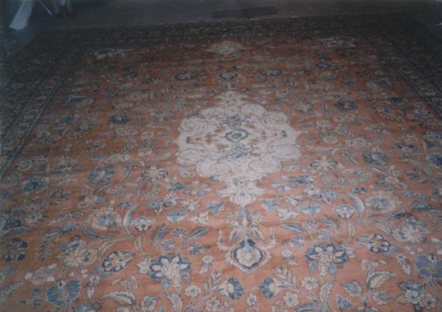 Tabriz Rug