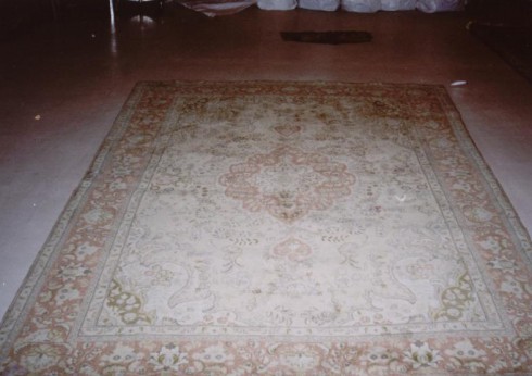 Tabriz Rug