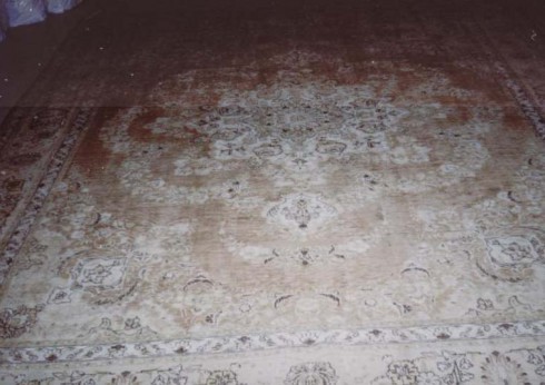 Tabriz Rug