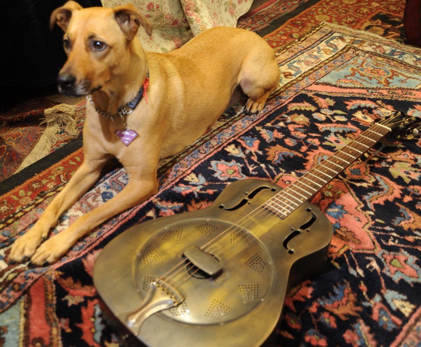 Dog on Oriental Rug